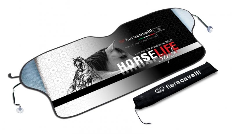 windshield protector 1