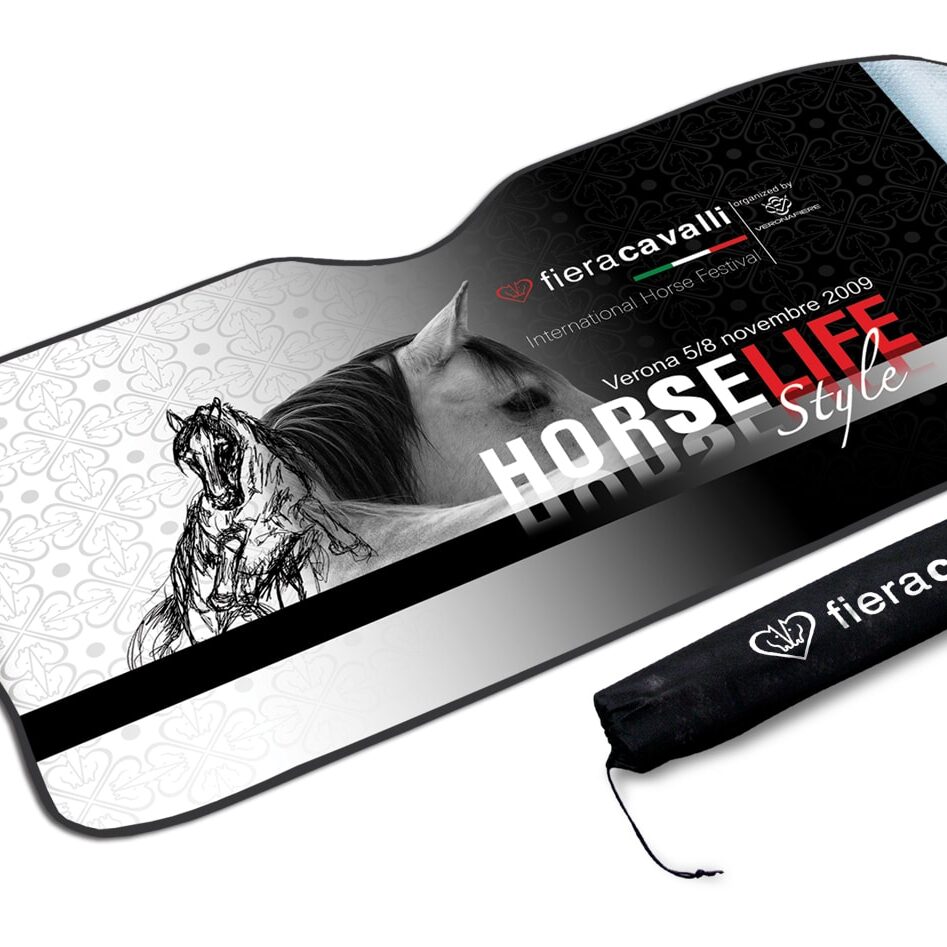 windshield protector 1